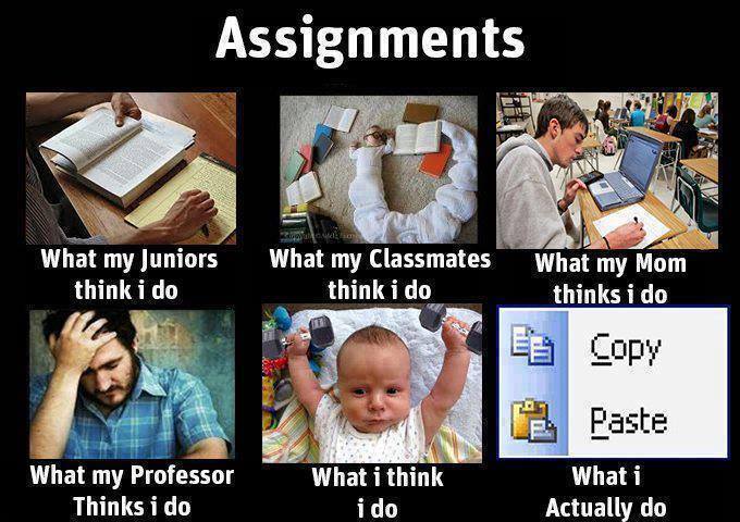 Assignments! - meme