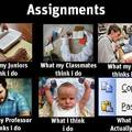 Assignments!
