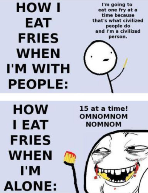 fries are the Best - meme