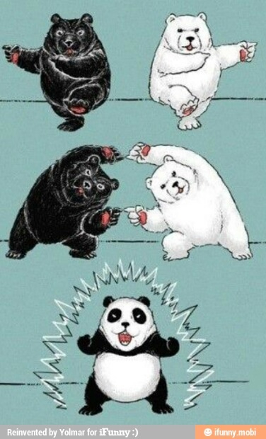 La naissance du panda - meme