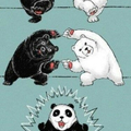 La naissance du panda