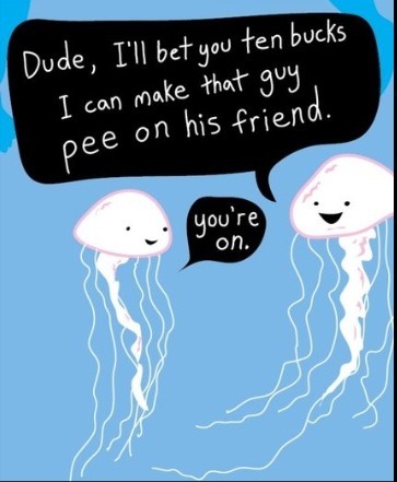 jellyfish - Meme by lucyjanegwill :) Memedroid