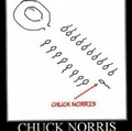 Chuck Norris 9 mesi prima di nascere
