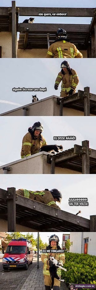 cuidado com a vingança do gato fireman - meme