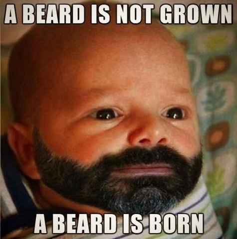 beards - meme