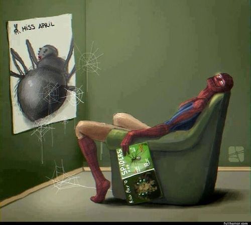 ese spiderman es todo un lokillo - meme