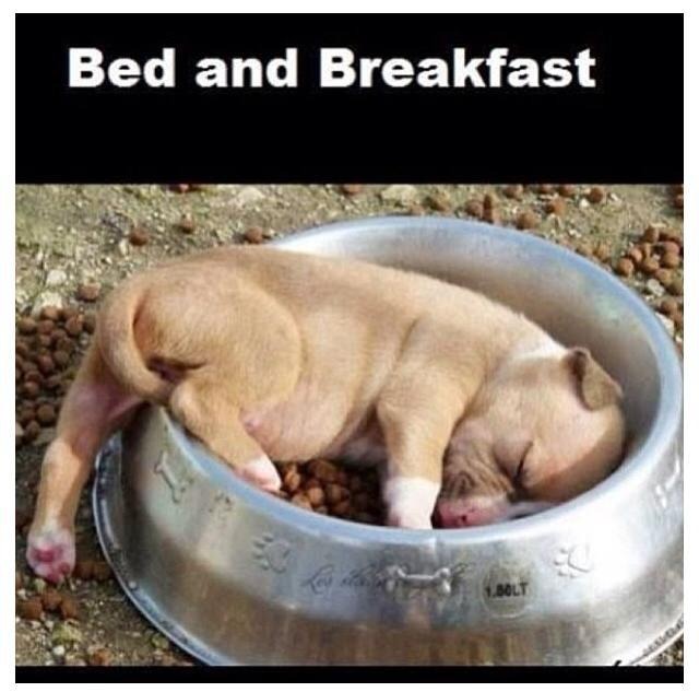 bed and breakfast <3 - meme