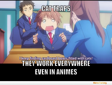 Cat traps op - meme