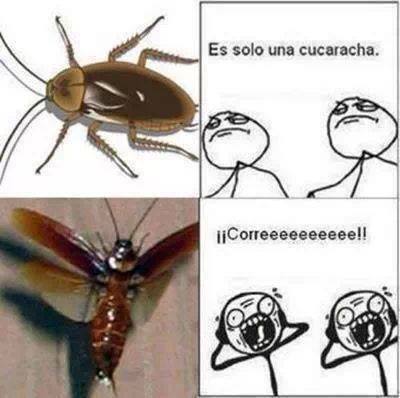 Cucaracha - meme
