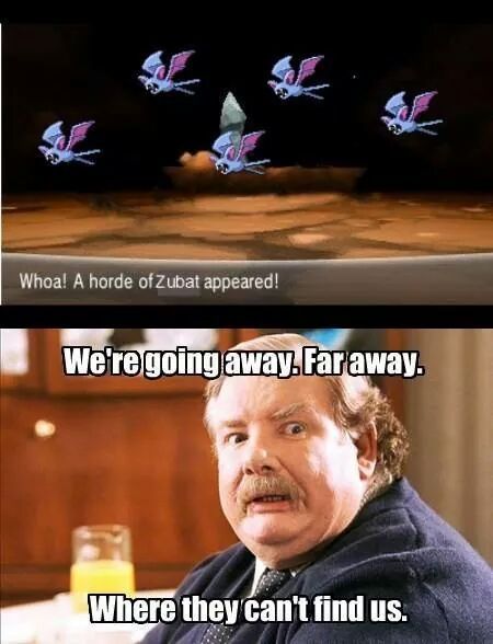 Get ready, the Zubats are coming - meme