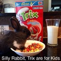 Bunnies are adorable....They can have all my Trix.