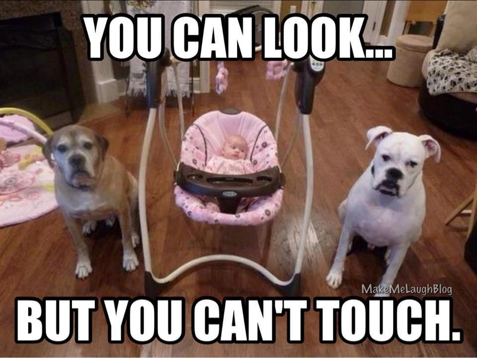 Babysitting done right - meme