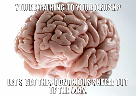 brain sneeze - meme