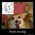 my dog is a genius too :D!