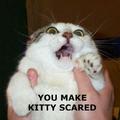 Scared Kitty