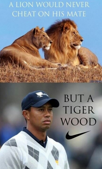 of course a tiger wood - meme