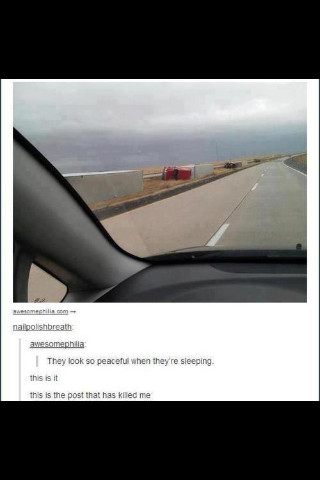 wild trucks in their natural habitat - meme
