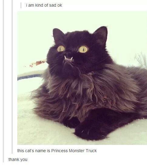 Princess Monster Truck - meme