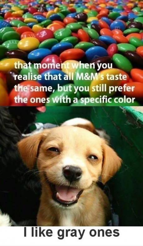 color blind dog - meme