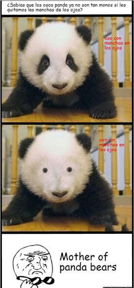 Panda true story - meme