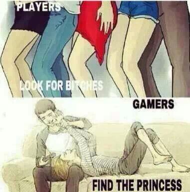 Which are you? Gamer or Player? - meme
