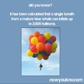 so your mom can inflate many balloons you see