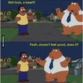 family guy or the cleveland show?