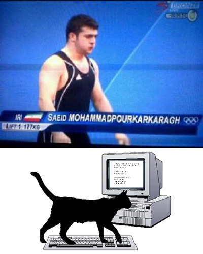Le chat geek - meme