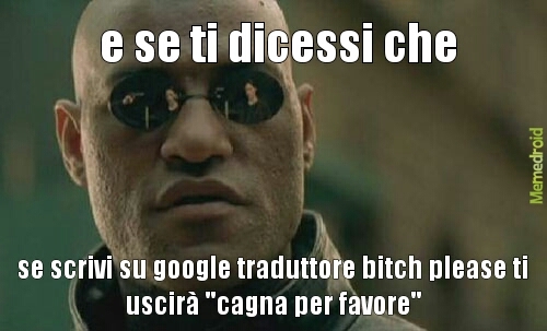 davvero!provate - meme