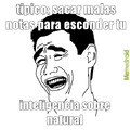 jajJaj tipico