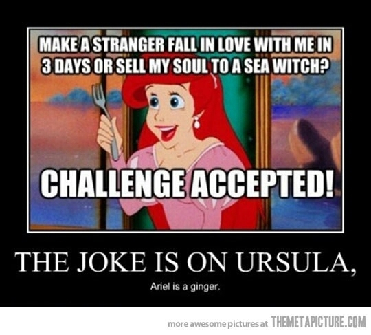 Ariel Is A Ginger!! - meme