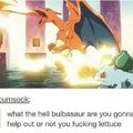 that lettuce