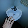 what is this a sink for ants