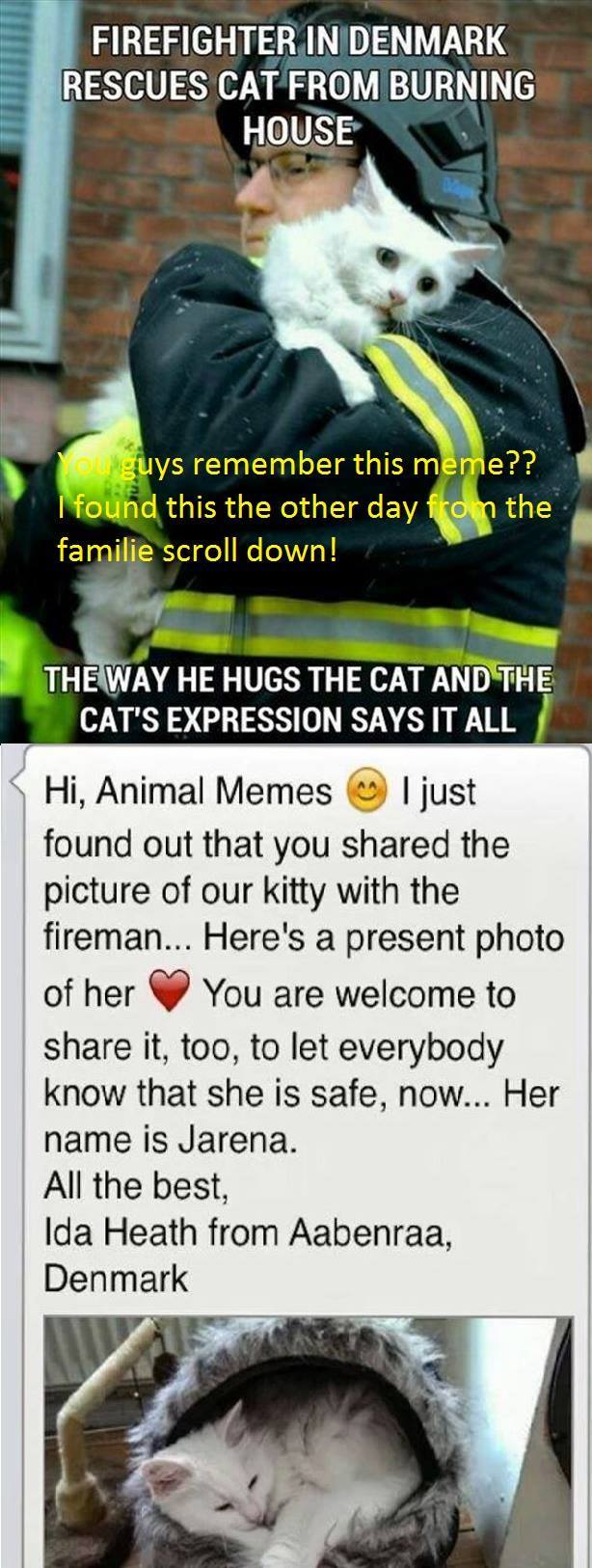 Because we even care about animals! - meme