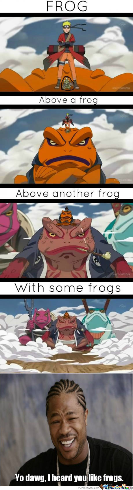frogs....everywhere - meme