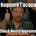 Chuck norris aproves