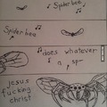 Spider bee