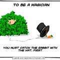 how to be a successful magician
