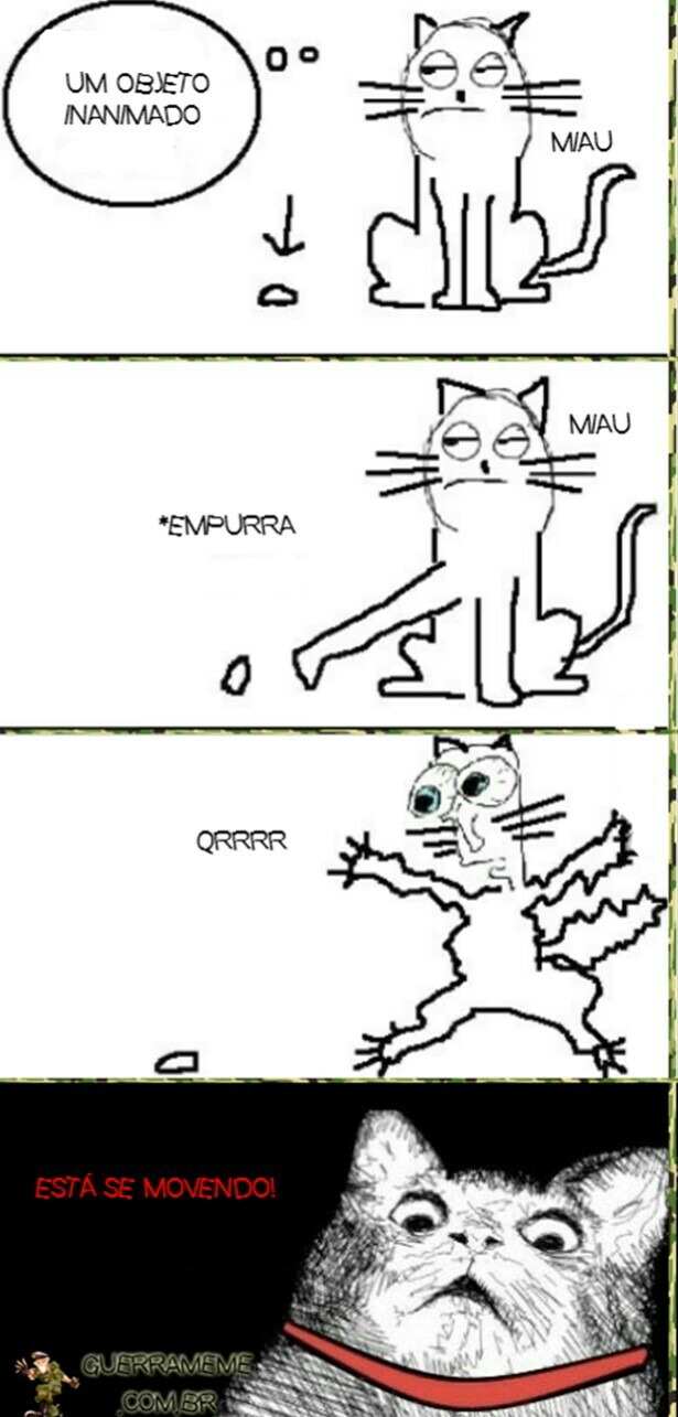 gatos - meme