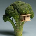 Brocolli Treehouse