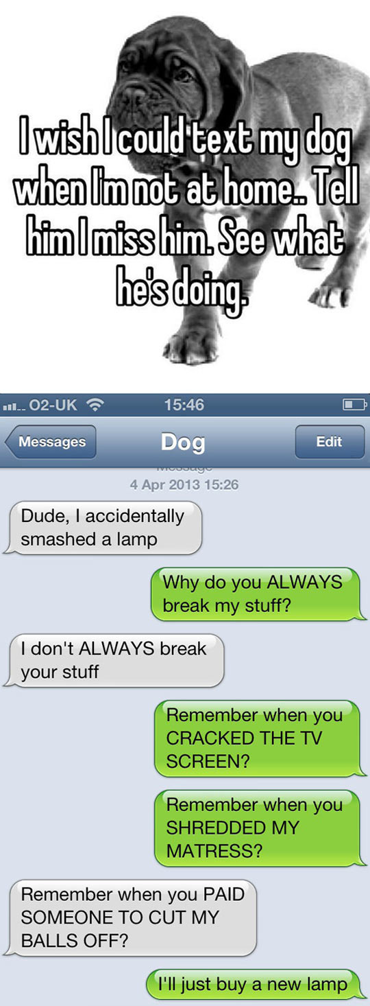 If I could text my dog - meme
