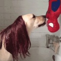 Mary Jane And Spiderman Remake