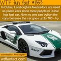 Need for speed:DUBAI