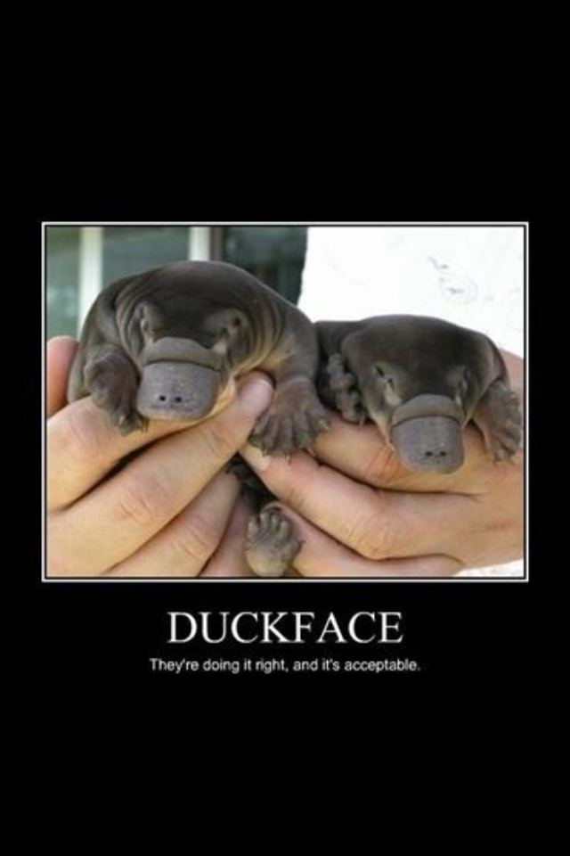 The only acceptable duck face. - meme