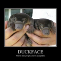 The only acceptable duck face.