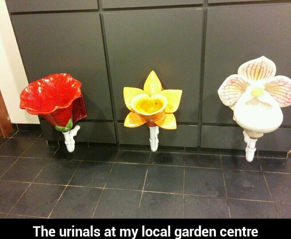 Urinals - meme