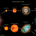 the stars life cycle