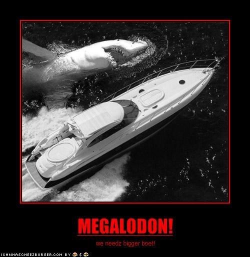 memedroid meets megalodon