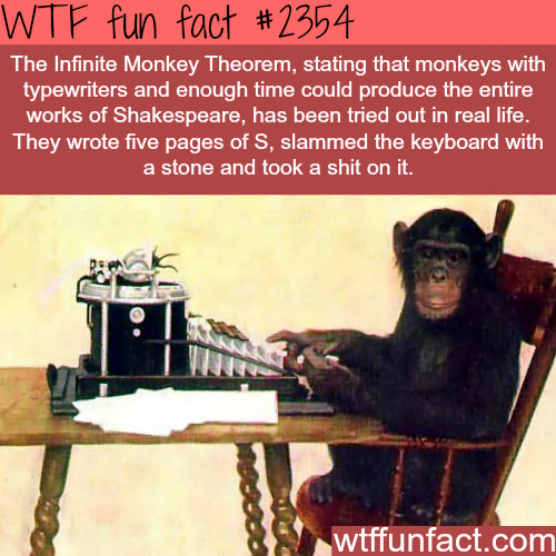 Aren't monkeys the smartest animals. - meme