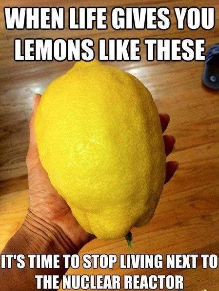 Fuck your lemons. (Vongola Family) - meme